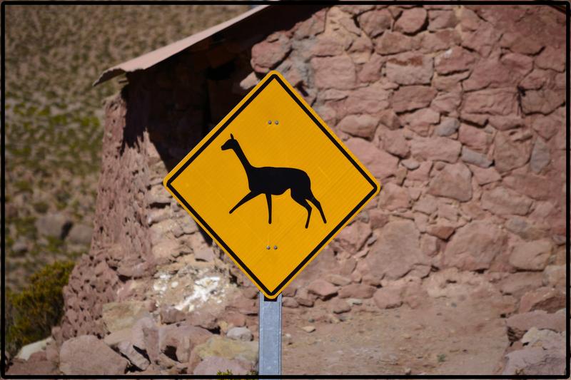 DE ATACAMA A LA PAZ. ROZANDO EL CIELO 2019 - Blogs de America Sur - ANEXO I. CARRETERAS (14)