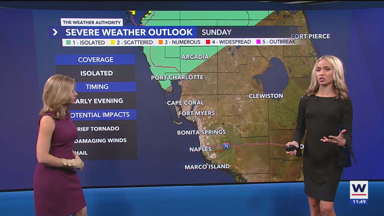 03.16 - 12.00.00 - WINK News at 8 00AM  ᴺᵉʷ. Breaking news and headli...(1).ts_snapshot_20.56.638