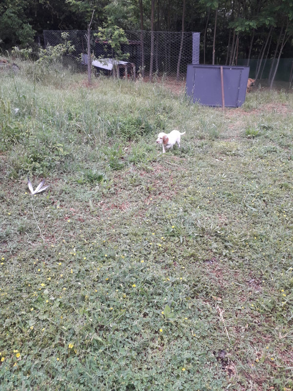 89F3546C-24CF-4AE6-B6DF-CACB23F9C5FB