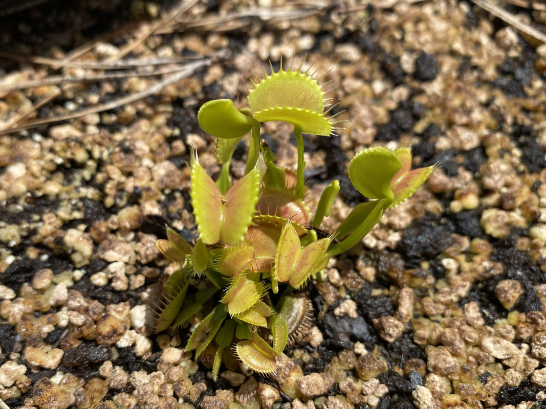 A27722DE-EC21-4CB3-B999-597860B40C92