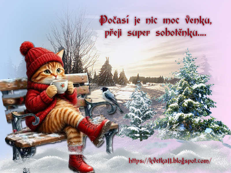 Super-sobotenku.jpg