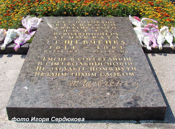 shevchenkotaras5