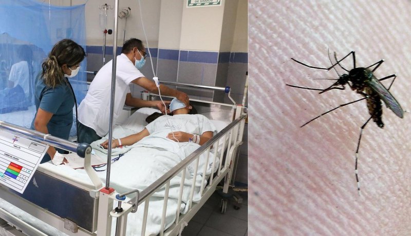 Dengue en Perú Dengue en Perú