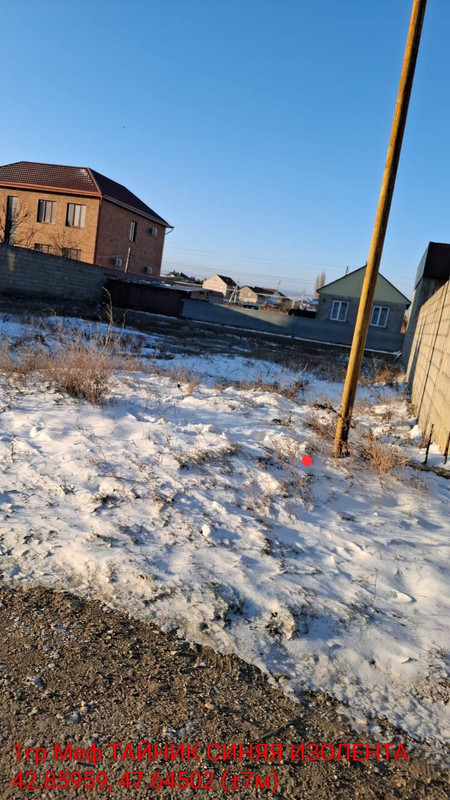 photo 22 2026 02 05 06 55 18