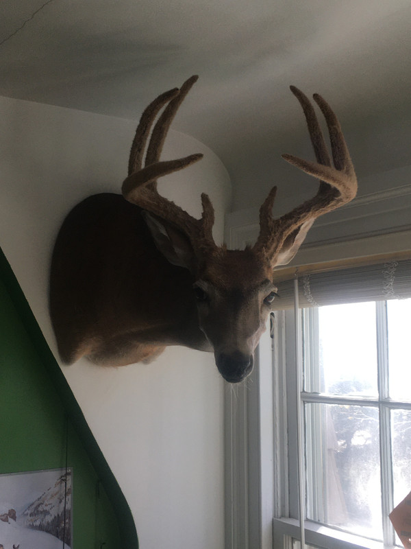 04BB98A5-3D5C-42BD-8B9D-E149416BCDFC