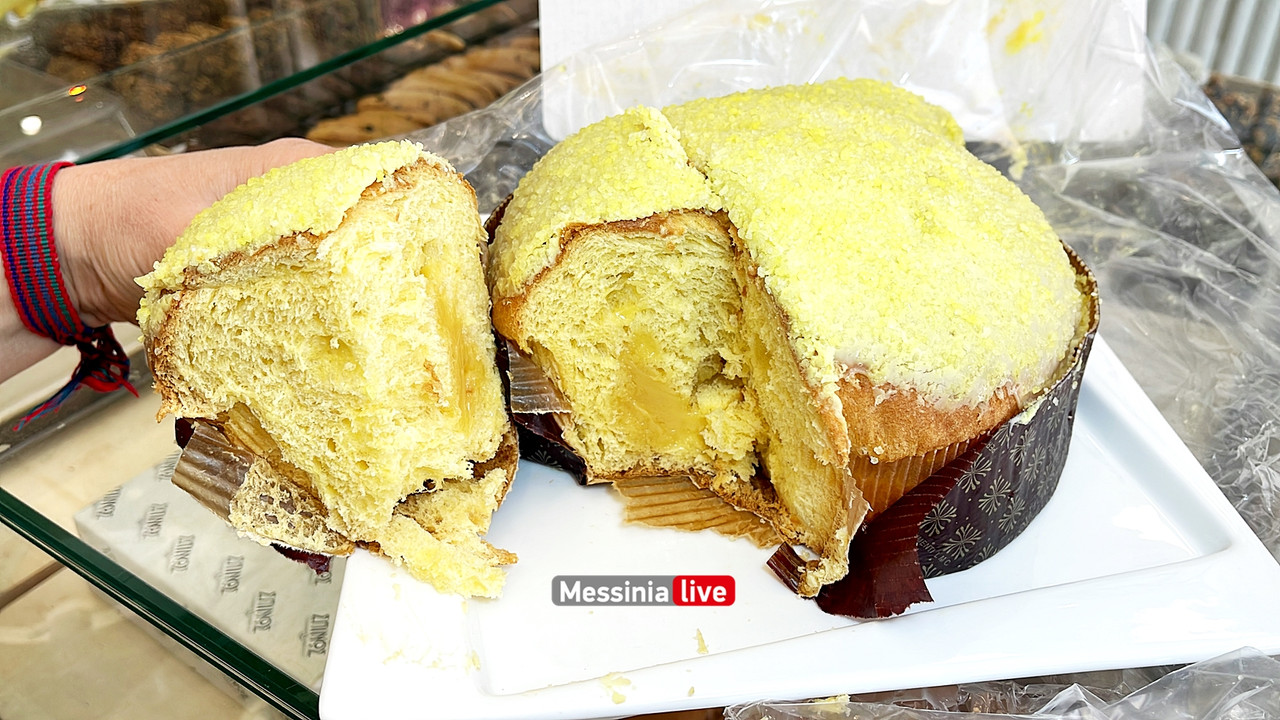 σπινοςimage00022