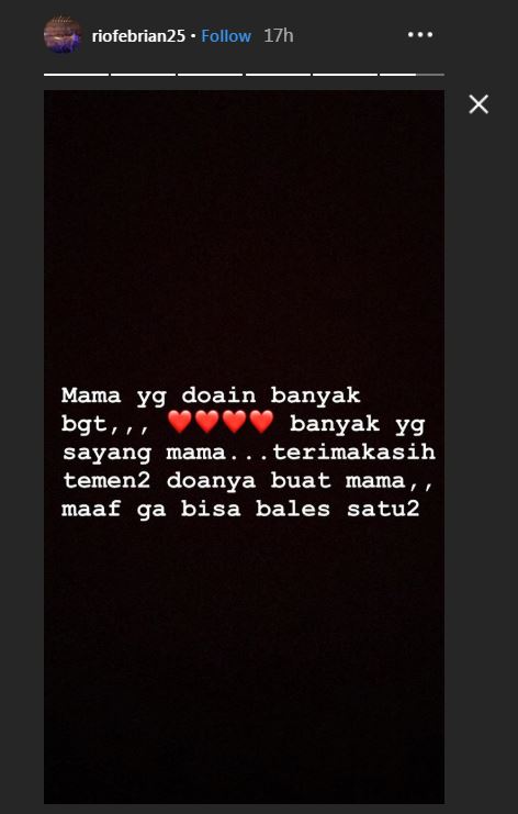 IG Story Rio Febrian