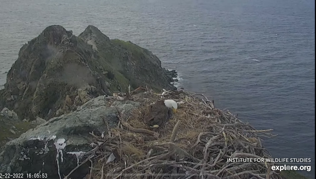 D131812E-D5F6-44C2-832C-640AF4D02FD4