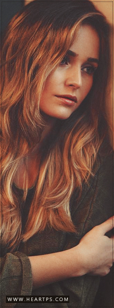 ���� ���� ������ �� ���� ������