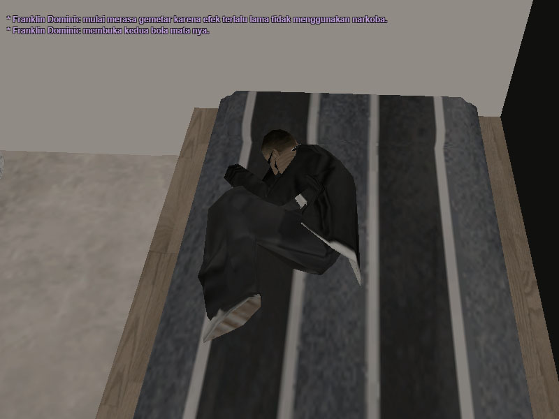ssrp2.jpg
