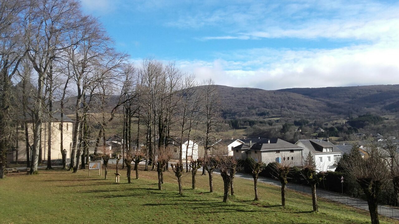 84A0490C-0F27-48C0-A97B-7103DAA821DD