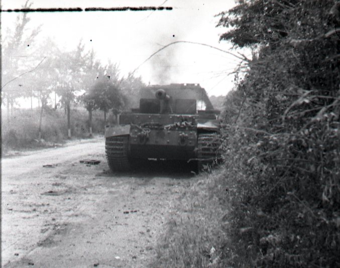 photos of ELEFANTS knocked out in the field (1)