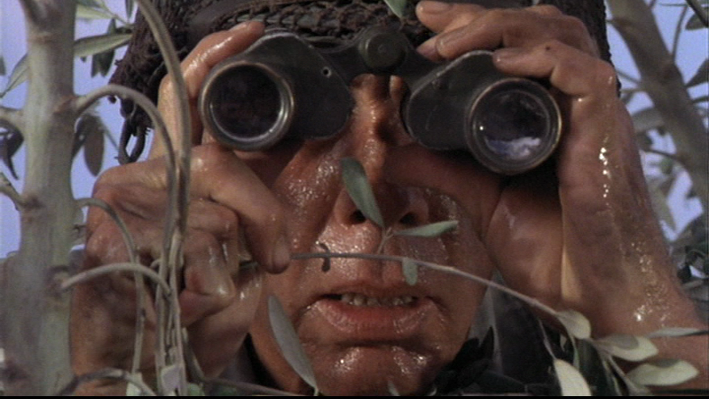 vlcsnap-2019-01-01-10h11m32s832