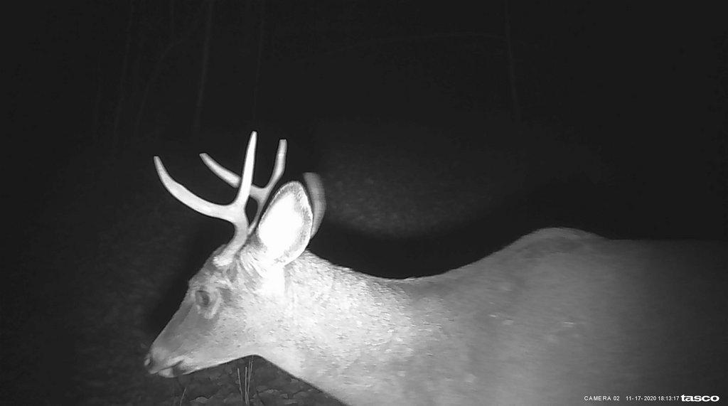 1FA12D0D-2020-45ED-A549-076E3B50D218