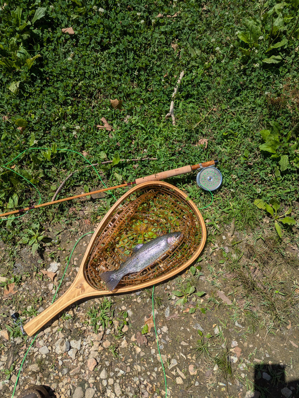 PXL_20250714_192533566