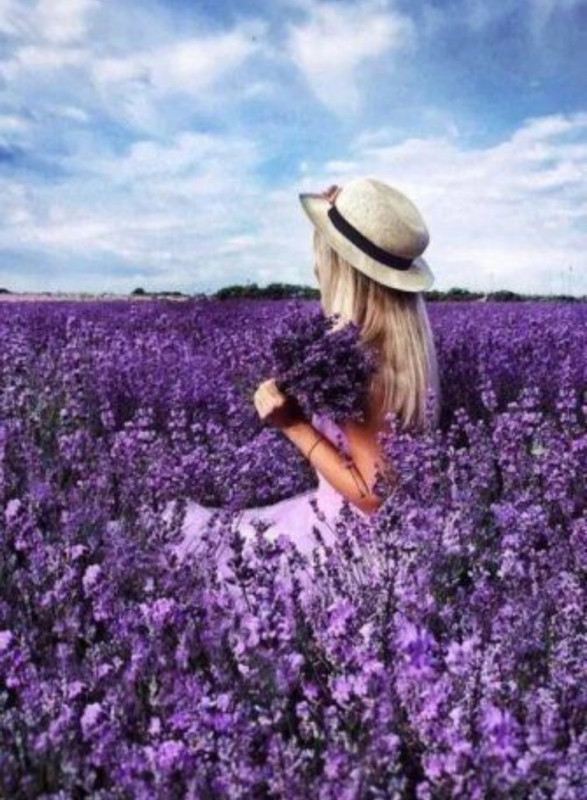 Screenshot_20240609_143505_Pinterest