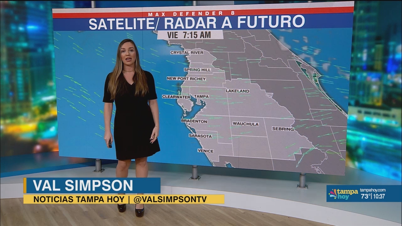 Noticias Tampa Hoy_20250418_03300400.ts_snapshot_09.01.367