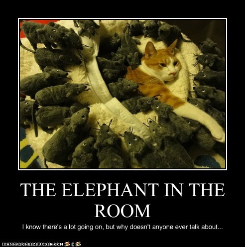lolcat-elephant-in-the-room