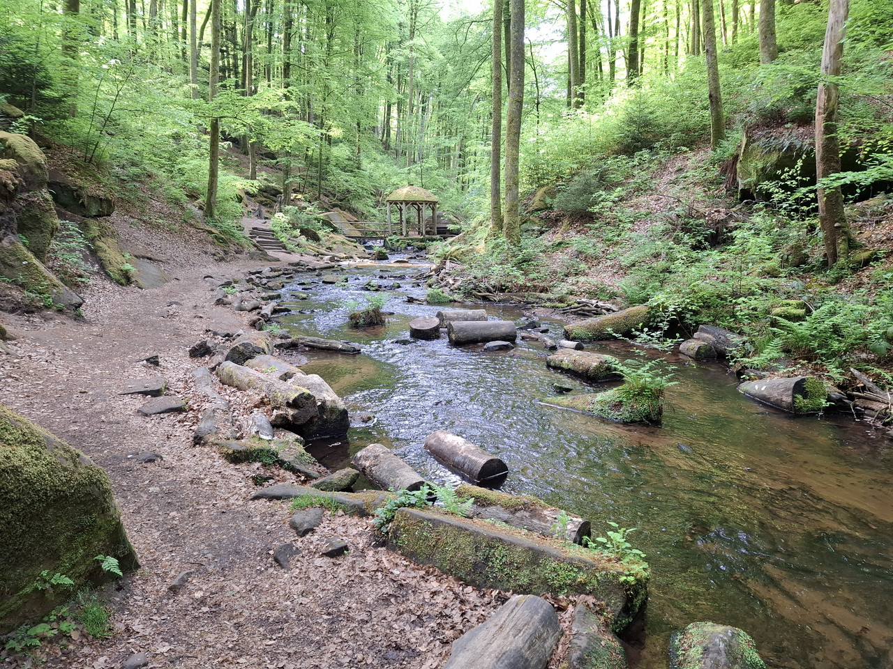 20260510-093132.jpg