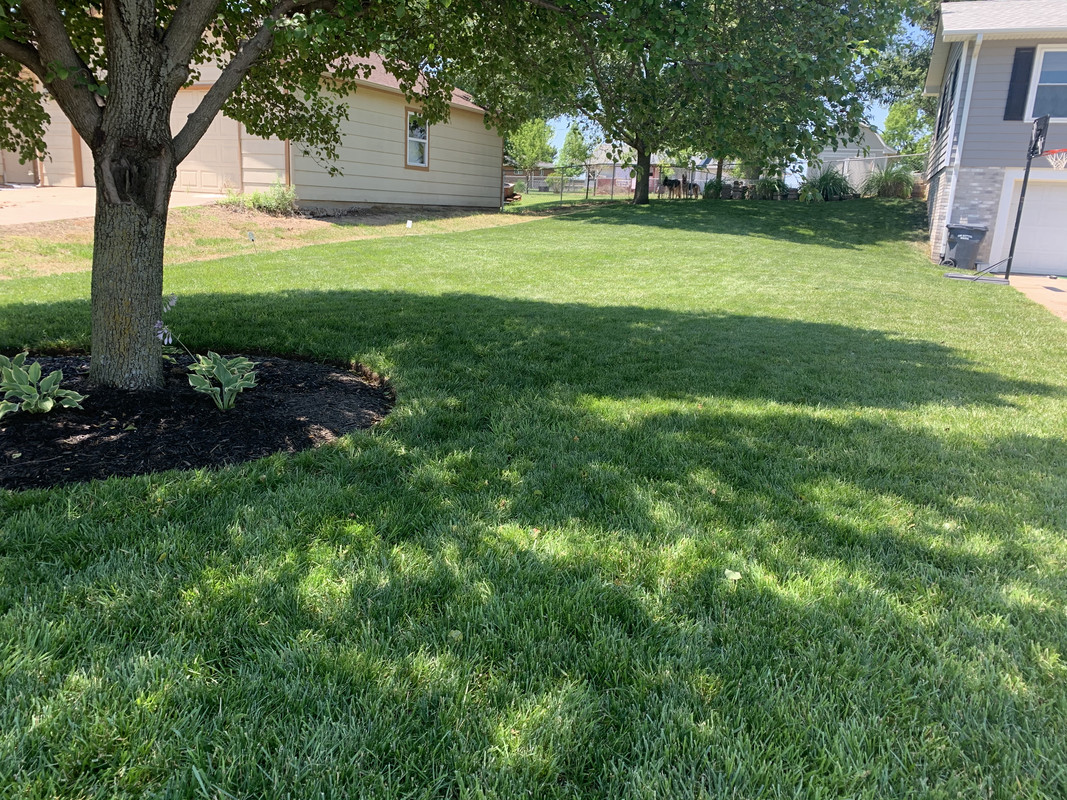 502D7316-BB62-49BD-8937-6691EF03EDE8