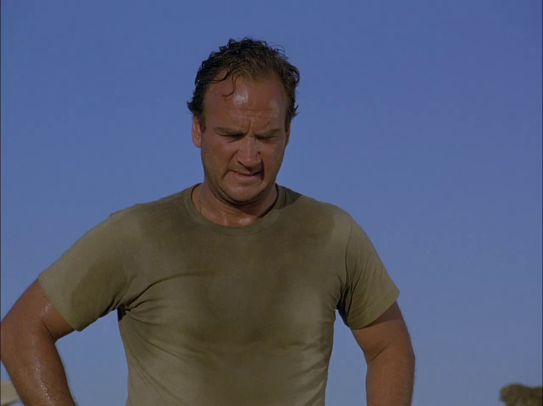 Sahara-1995-WEBRip-Hindi-English-720p-x264-AVC-Opus-2-0-ESub-mkv-0001