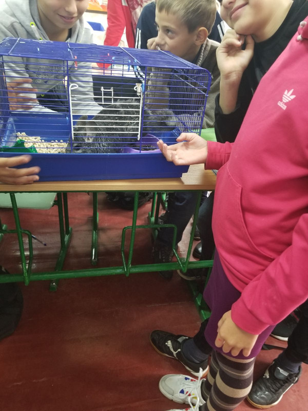 0-02-05-f338b530fc1e68aa2f6ddf675f68afeb1aceaeffb7aa9afb5fee88bebfb5518c_1a607e9b