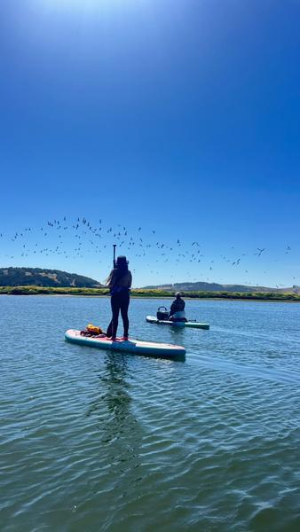 Persona remando de pie en SUP sobre el río Rapel