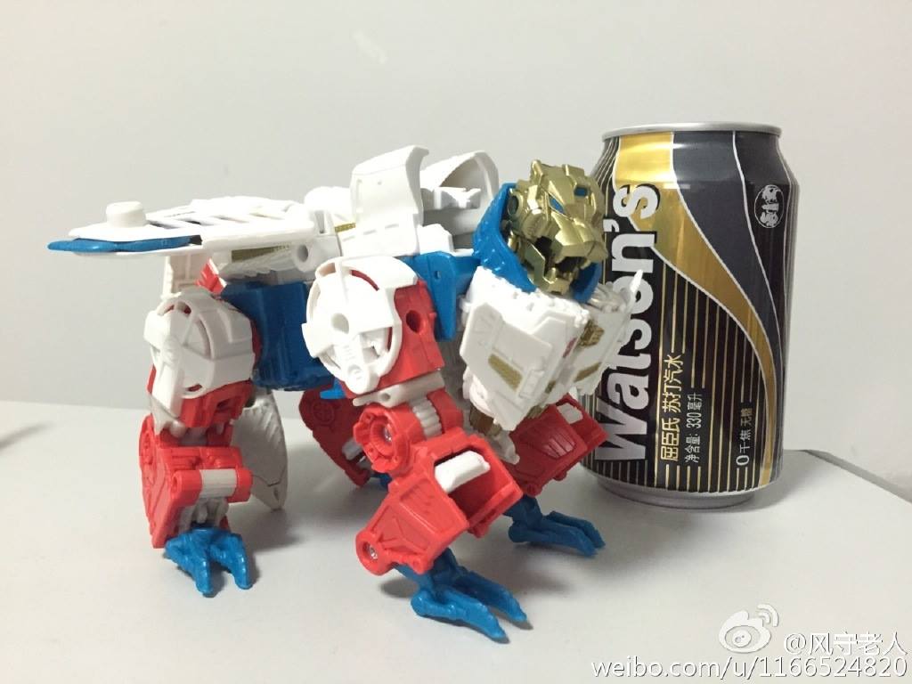 12339178_179358539081248_6148074607857813145_o