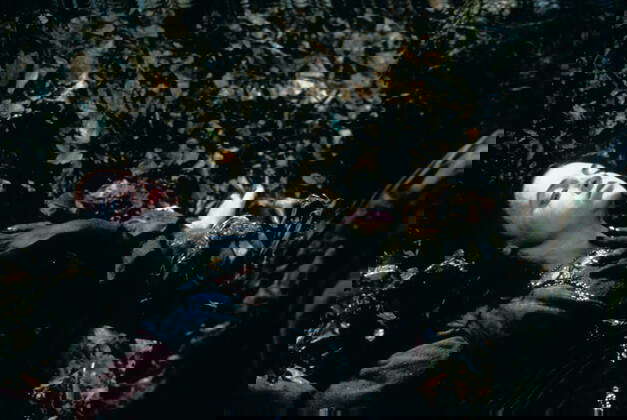 imago images 100150934