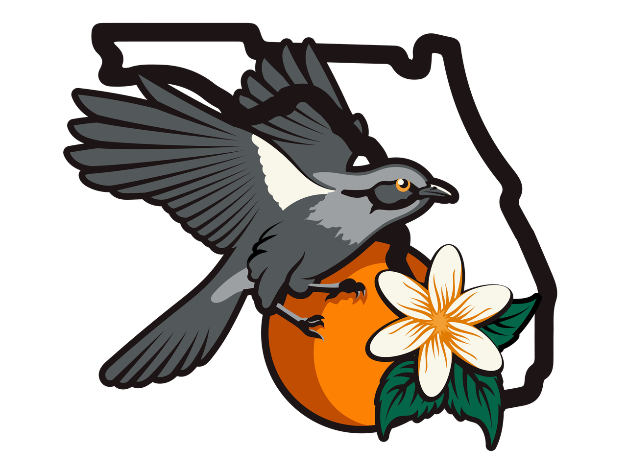 Mockingbird Illustration