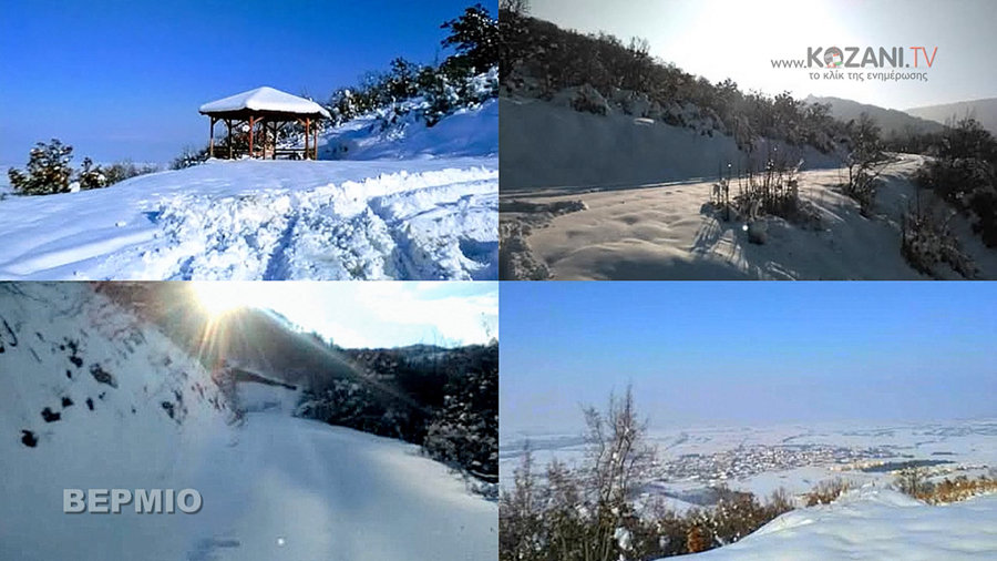 κοζάνη, ειδήσεις, νέα, Πτολεμαΐδα 