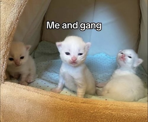 37th.jpg