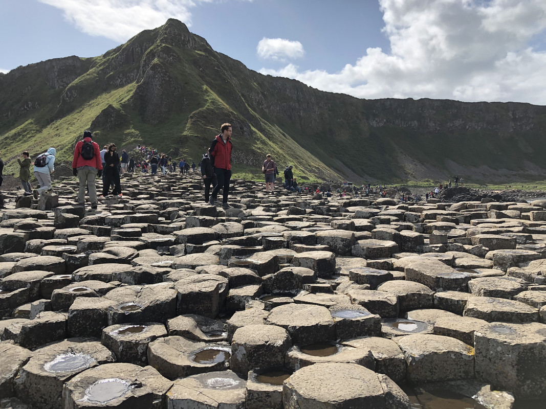 EC180F16-A331-4392-88F0-EBC5A82FD0A3