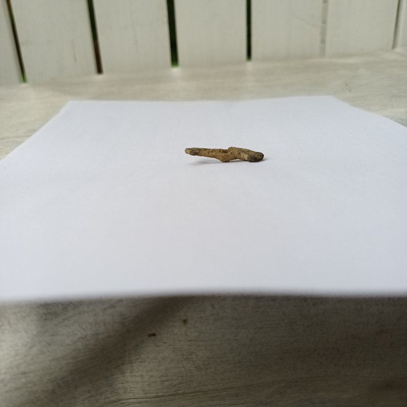 16616149422821128800075964535523