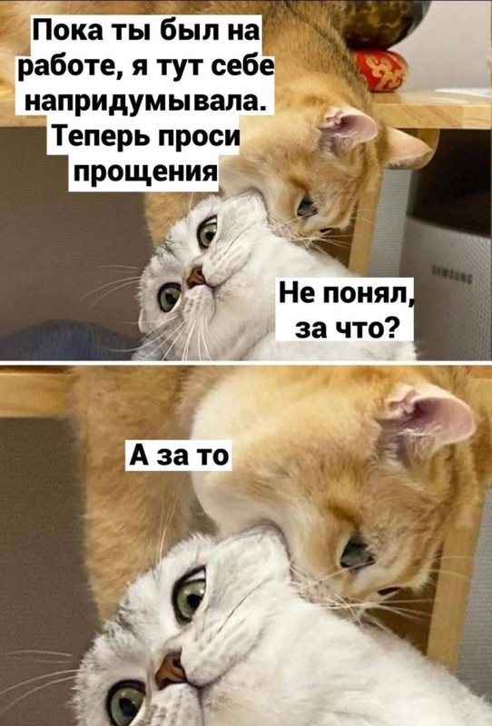 17180003.jpg