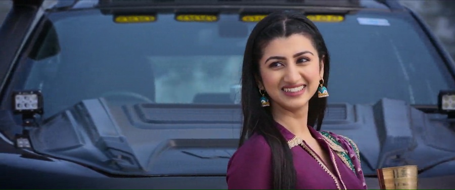 Wild Wild Punjab 2024 WebRip [Hindi + Tamil + Telugu] 480p, 720p ESub Screenshot