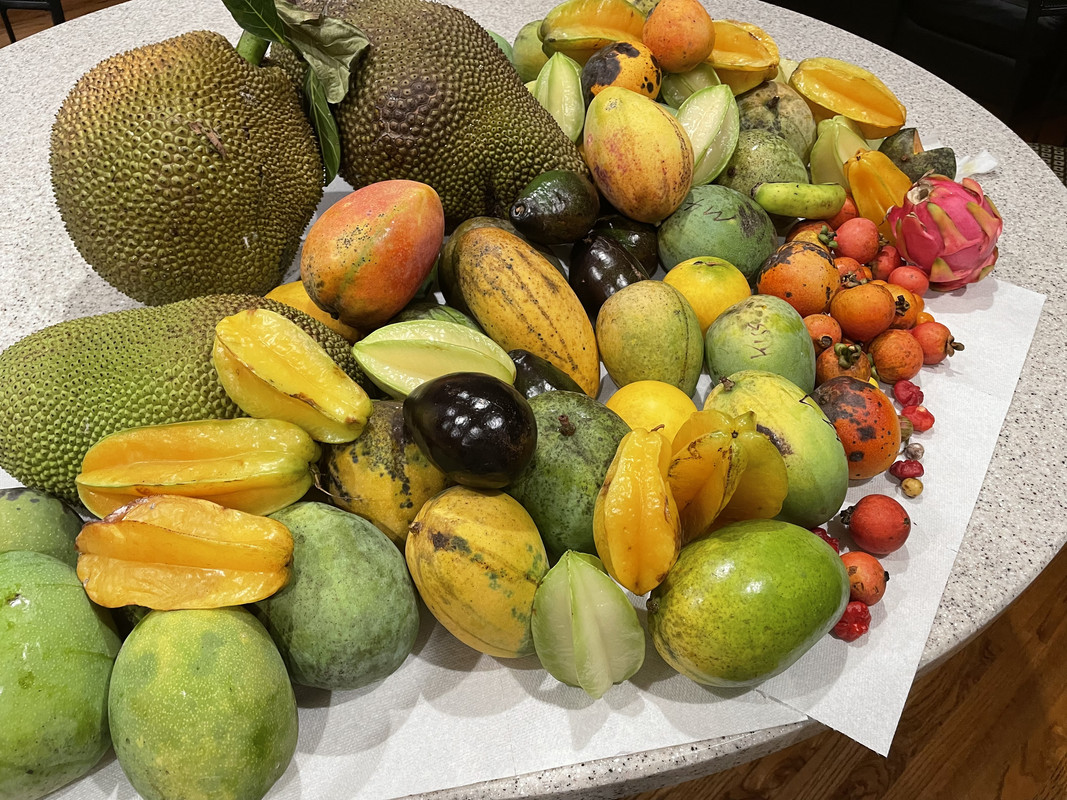 EF8892FE-1DDE-4733-8EC8-94ED65C9F5DC