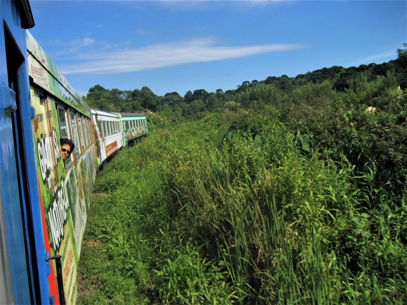Tren Sierra Verde Exprés-22-2-2010 - Brasil y sus pueblos-2010 (20)