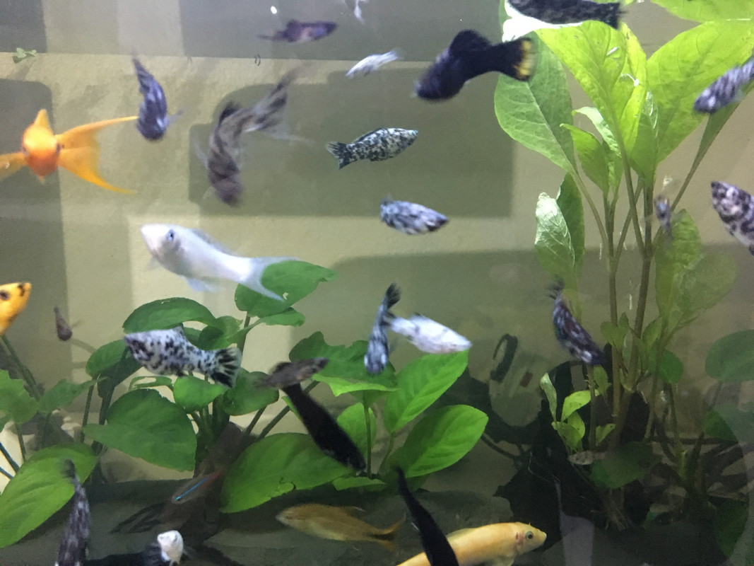 ABA867DE-9D19-46F0-B245-4C83B7EEBB71