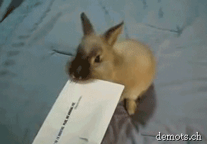https://i.postimg.cc/TYpNkqW3/6.gif