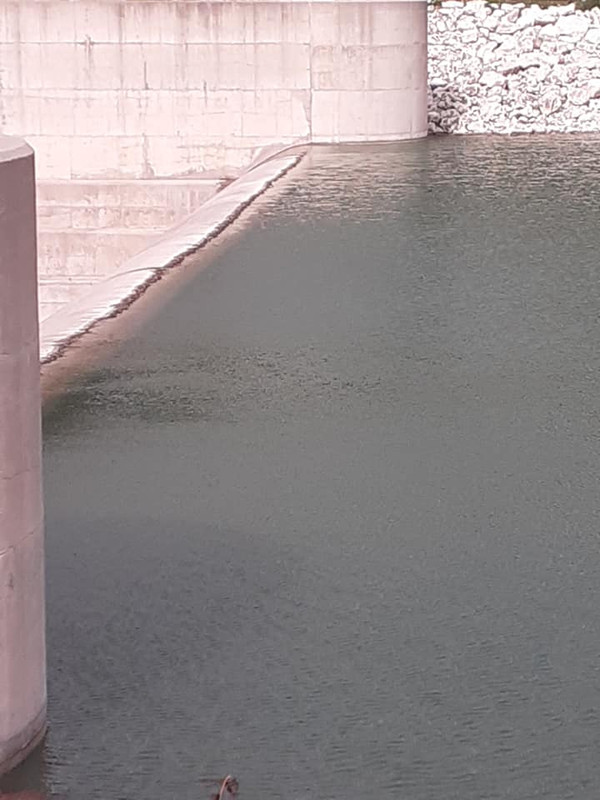 ασπρόκρεμμος