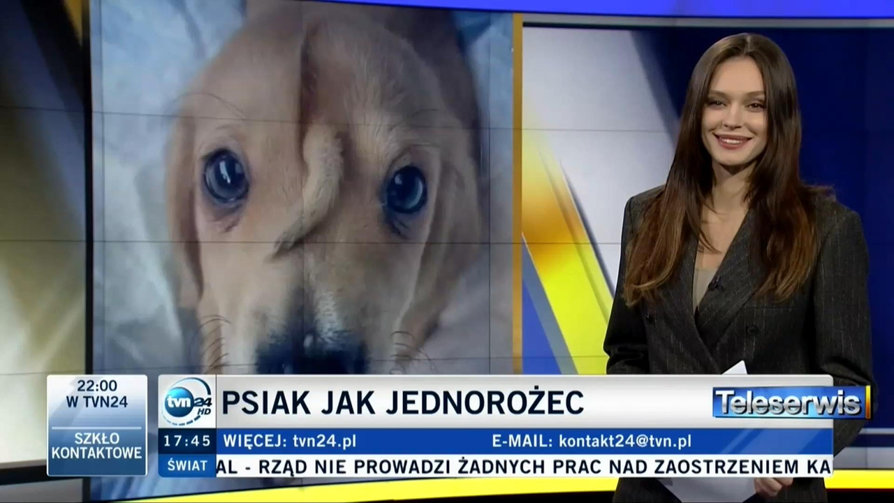 V0323_20191115_042211.mp4_snapshot_06.38_[2019.11.18_02.56.48]