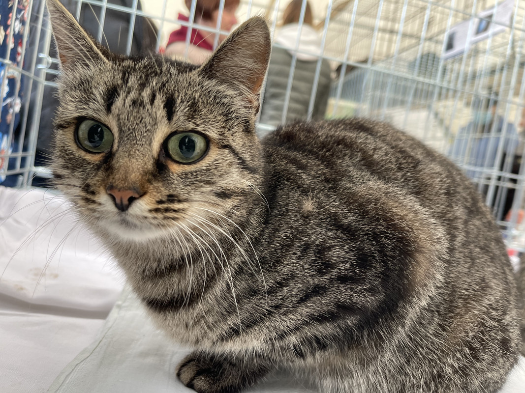 A4546645-1DB5-4B21-BA62-CB2988854B37