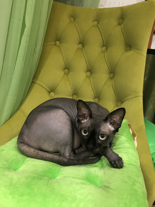 F02AA7B2-4A1C-46FD-B3EE-905832423EC5