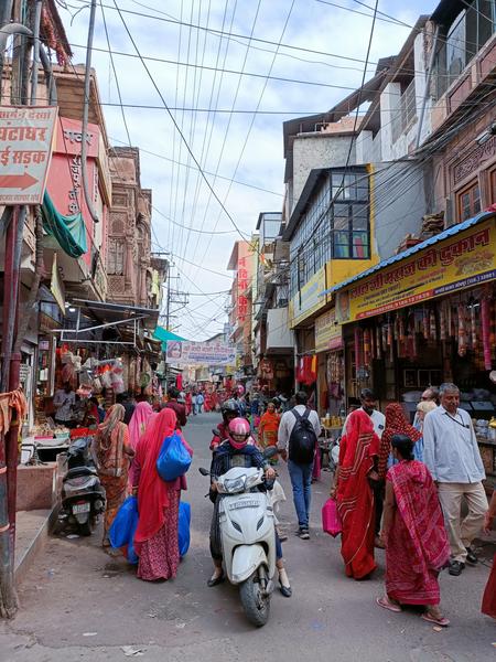 https://i.postimg.cc/TYqDQ09S/Jodhpur-(293).jpg