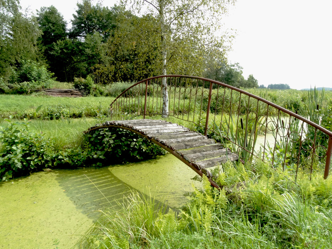 01.12 - DSC07339 (Czesio1)