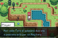 [Immagine: Battuta-AMO.png]