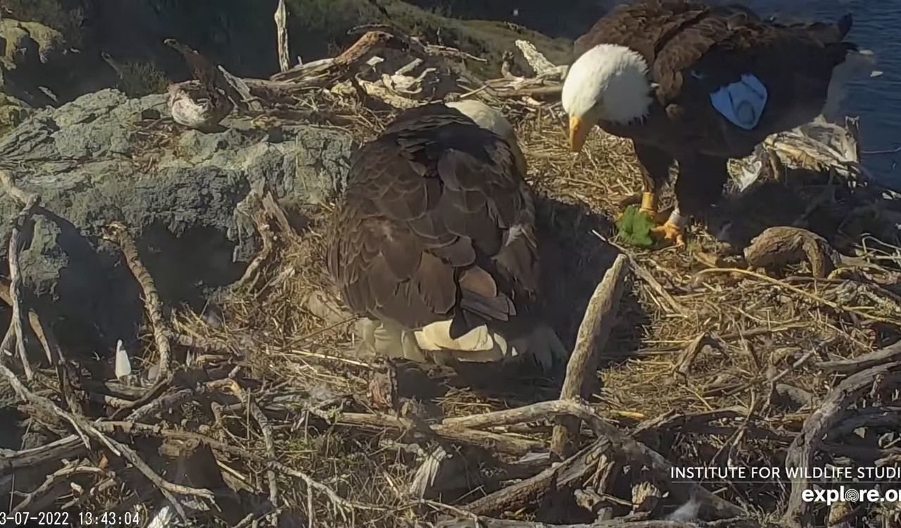 B67C569E-F874-47A8-A042-8425E473F784