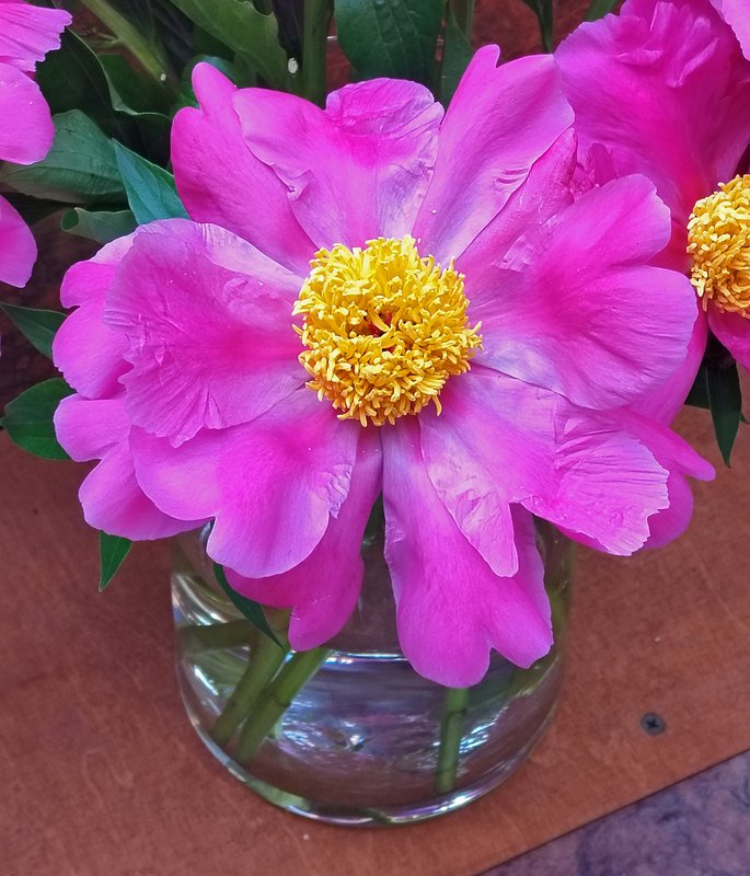 https://i.postimg.cc/TYqbZHjb/36-IMG-20250610-111041.jpg