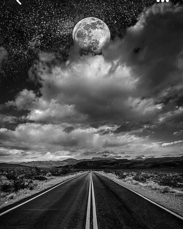 Screenshot_20230331_002827_Pinterest